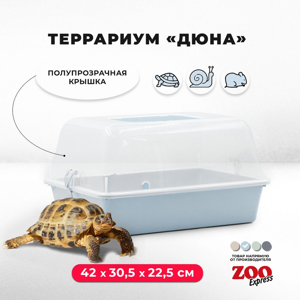 Террариум-клетка ZOOexpress ДЮНА для улиток, черепах и мелких грызунов,  42х30,5х22,5 см, светло-голубой (полупрозрачная крышка) - купить с  доставкой по выгодным ценам в интернет-магазине OZON (1142183386)