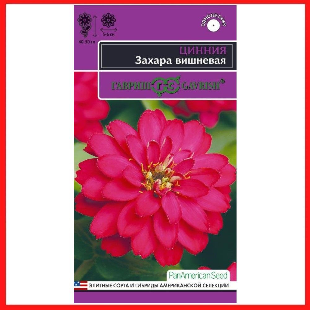 Семена Цинния карликова "Захара вишневая", 5 шт, однолетние цветы для дачи, сада и огорода, клумбы, в #1