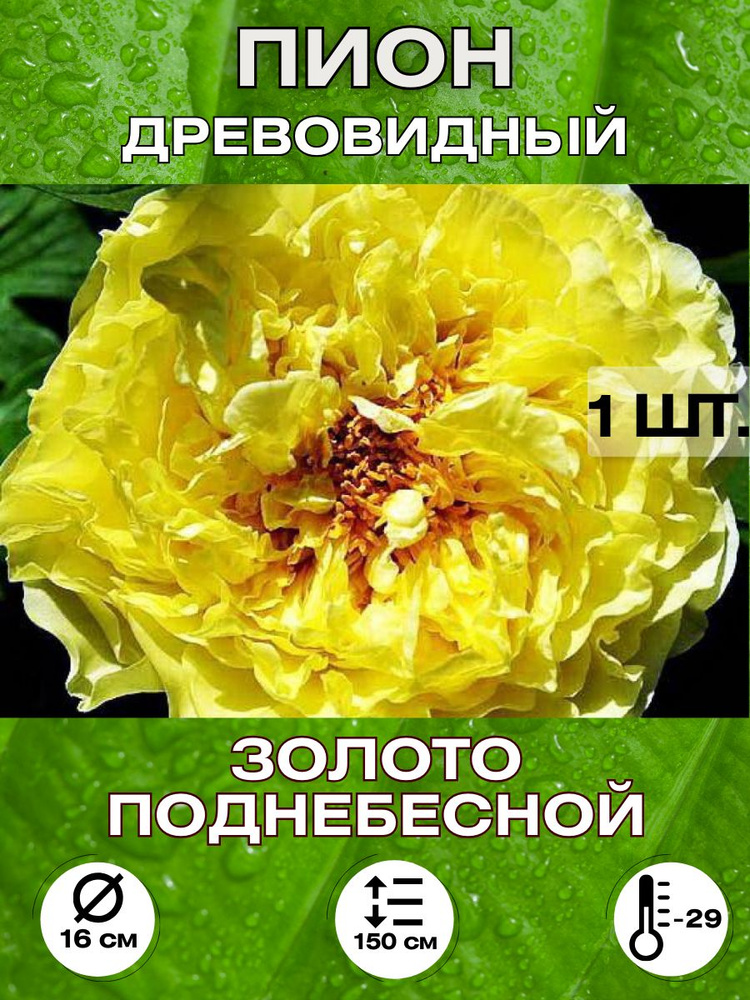 Magic Blooming Garden Семена ,1шт #1