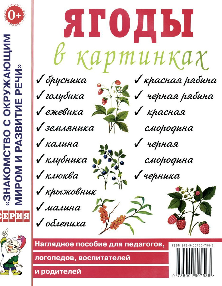 Ягоды в картинках. Наглядное пособие для педагогов, воспитателей, логопедов, родителей  #1