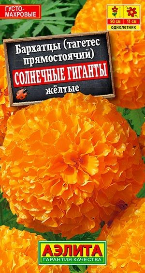 БАРХАТЦЫ СОЛНЕЧНЫЕ ГИГАНТЫ ЖЕЛТЫЕ. Семена. Вес 0,3 гр. Один из лучших сортов бархатцев для срезки.  #1