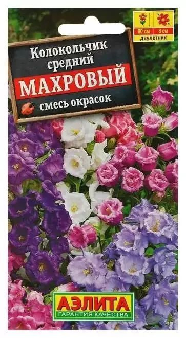 Семена Колокольчик средний Махровый, смесь сортов (0,2 г) - Агрофирма Аэлита  #1