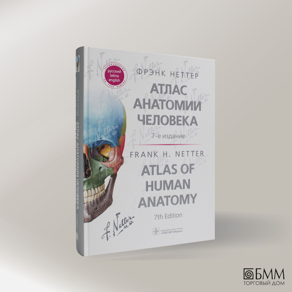 Атлас анатомии человека: терминология на русском, латинском и английском  языках. 7-е изд | Неттер Фрэнк