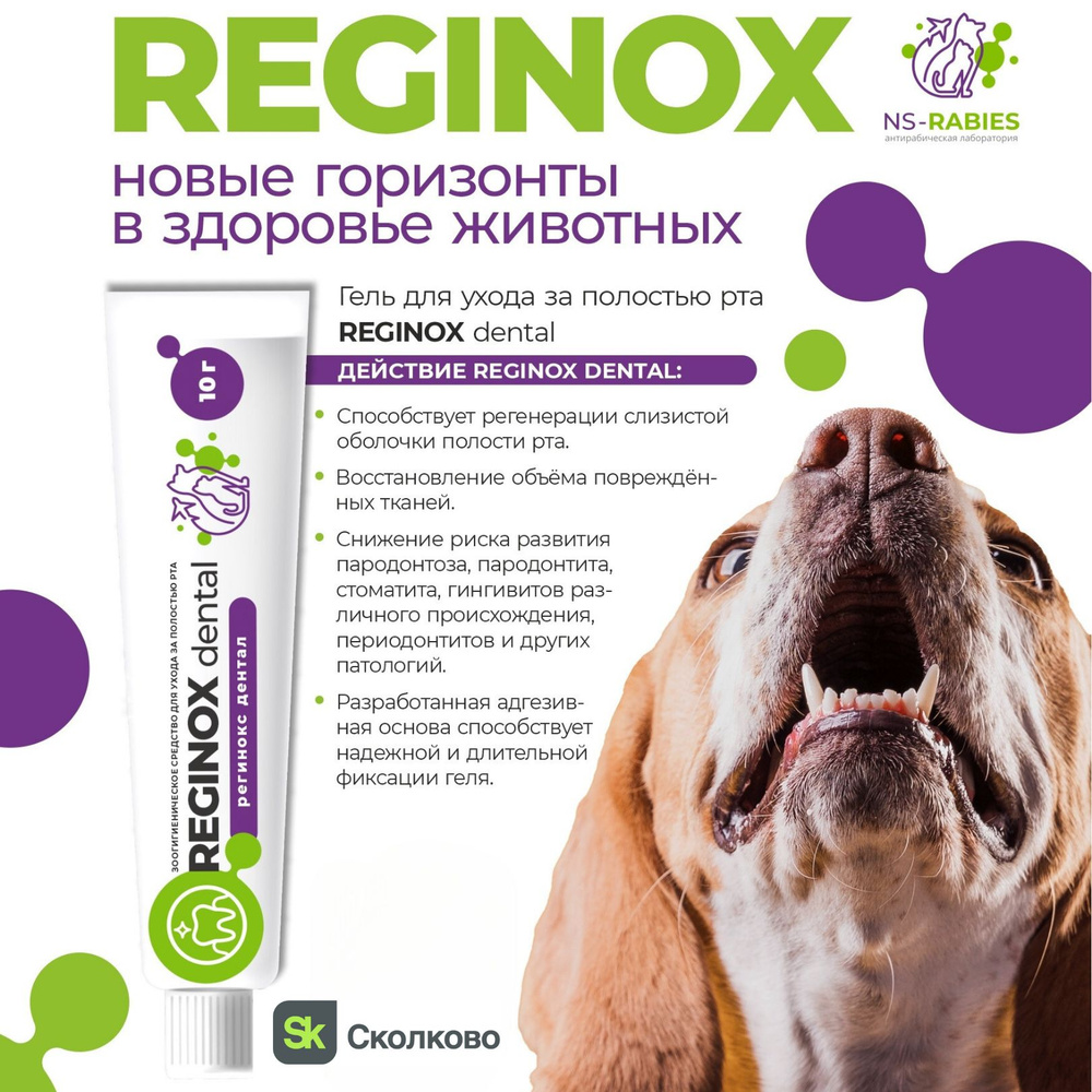 Reginox Dental гель заживляющий для ухода за полостью рта животных  (Регинокс Дентал) - купить с доставкой по выгодным ценам в  интернет-магазине OZON (1263092802)