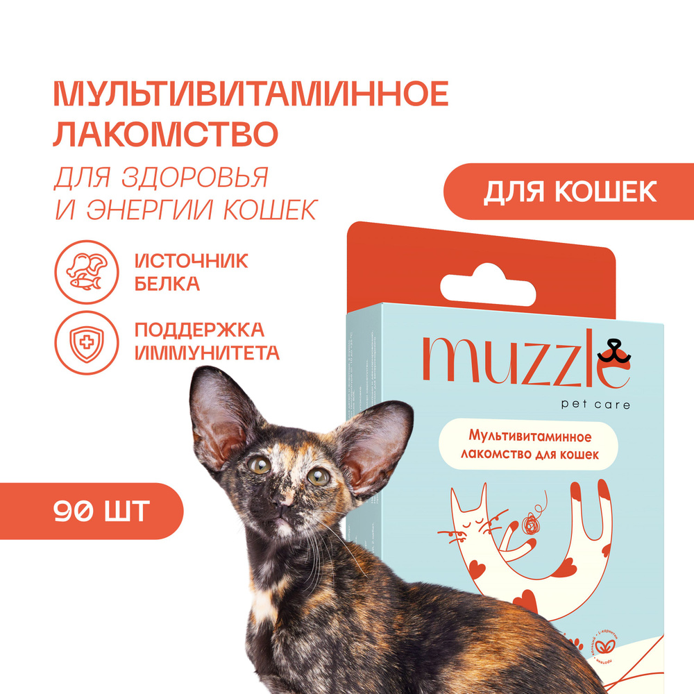 Витамины для кошек Muzzle. Здоровье и энергия - купить с доставкой по  выгодным ценам в интернет-магазине OZON (858649810)