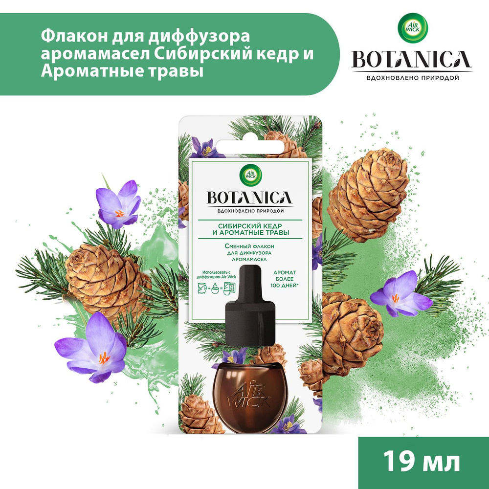 Освежитель воздуха, диффузор ароматический электрический Air Wick Botanica  Сибирский кедр и ароматные травы, сменный флакон 19 мл