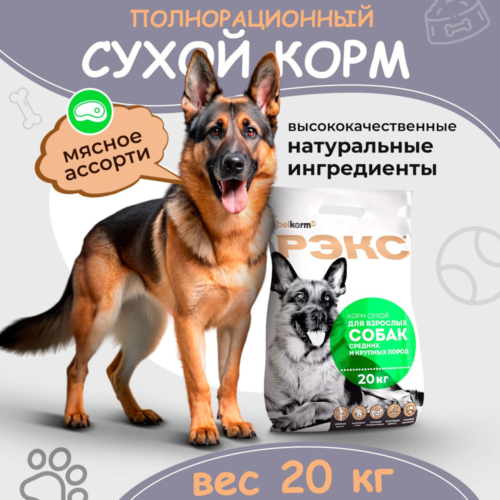 Сухой корм для взрослых собак средних и крупных пород КСС-12 (Рекс 20 ...