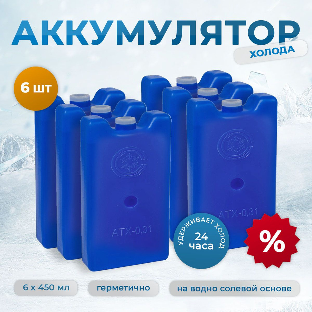 Аккумулятор холода для термосумки и мини холодильника водно-солевой 450 ...
