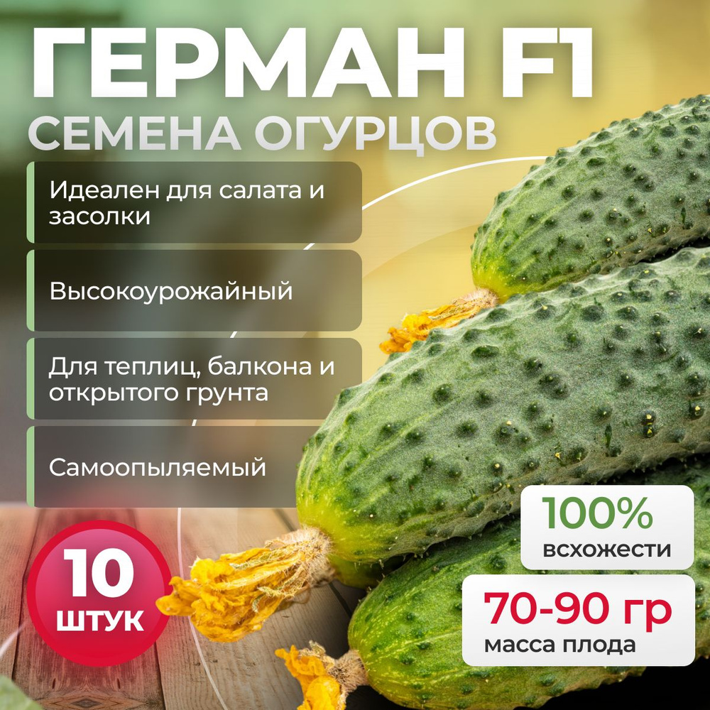 Семена огурцов Герман F1 10 шт. партенокарпические от Seminis / ALEXAGRO для открытого грунта и теплиц #1