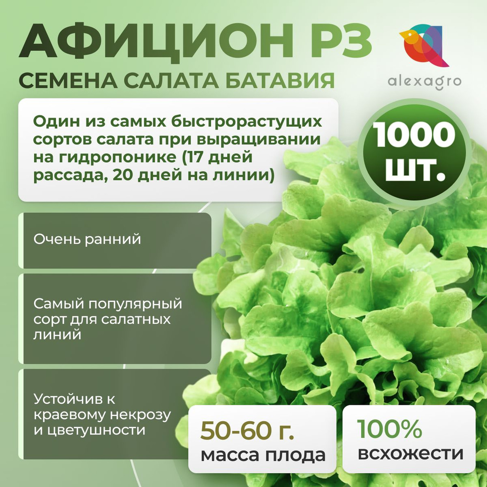 АФИЦИОН РЗ семена салата батавия, 1000 шт. Драже (Rijk Zwaan / ALEXAGRO). Высокоурожайный, очень ранний #1