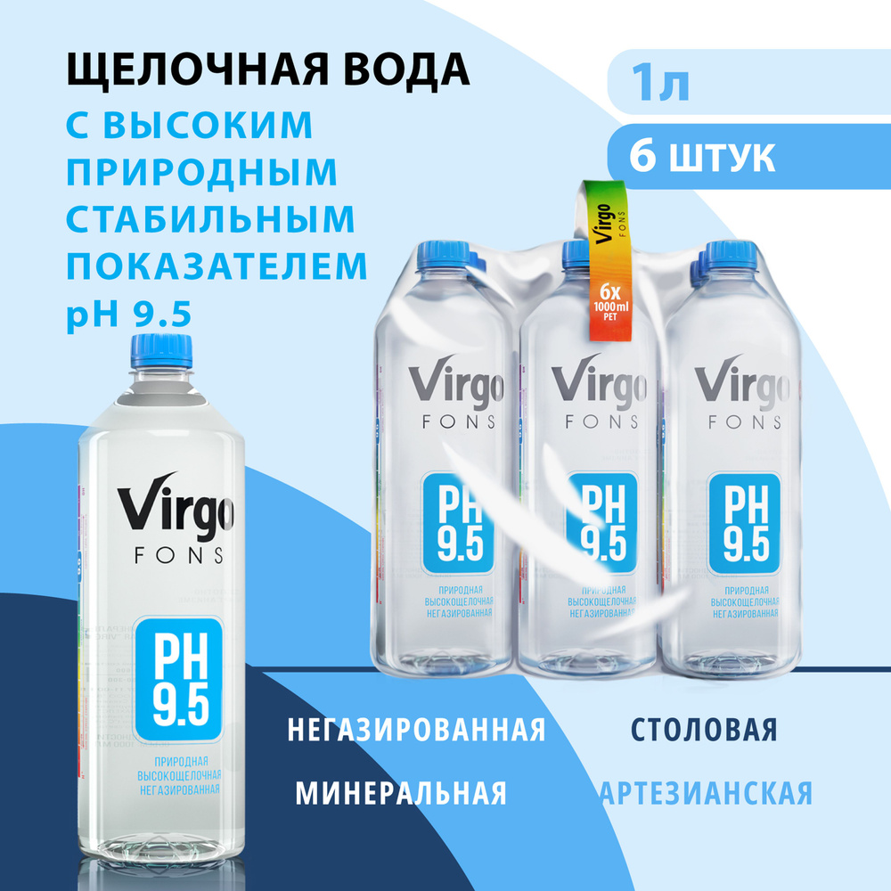 Virgo Fons Вода Питьевая Негазированная 1000мл. 6шт #1