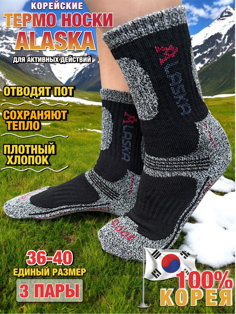 Термоноски ALASKA Оригинальная, 3 пары #1