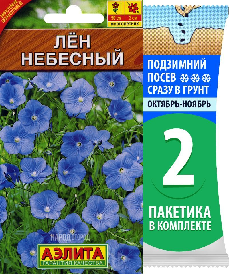 Семена Лен многолетний Небесный, 2 пакетика по 0,5г/300шт #1