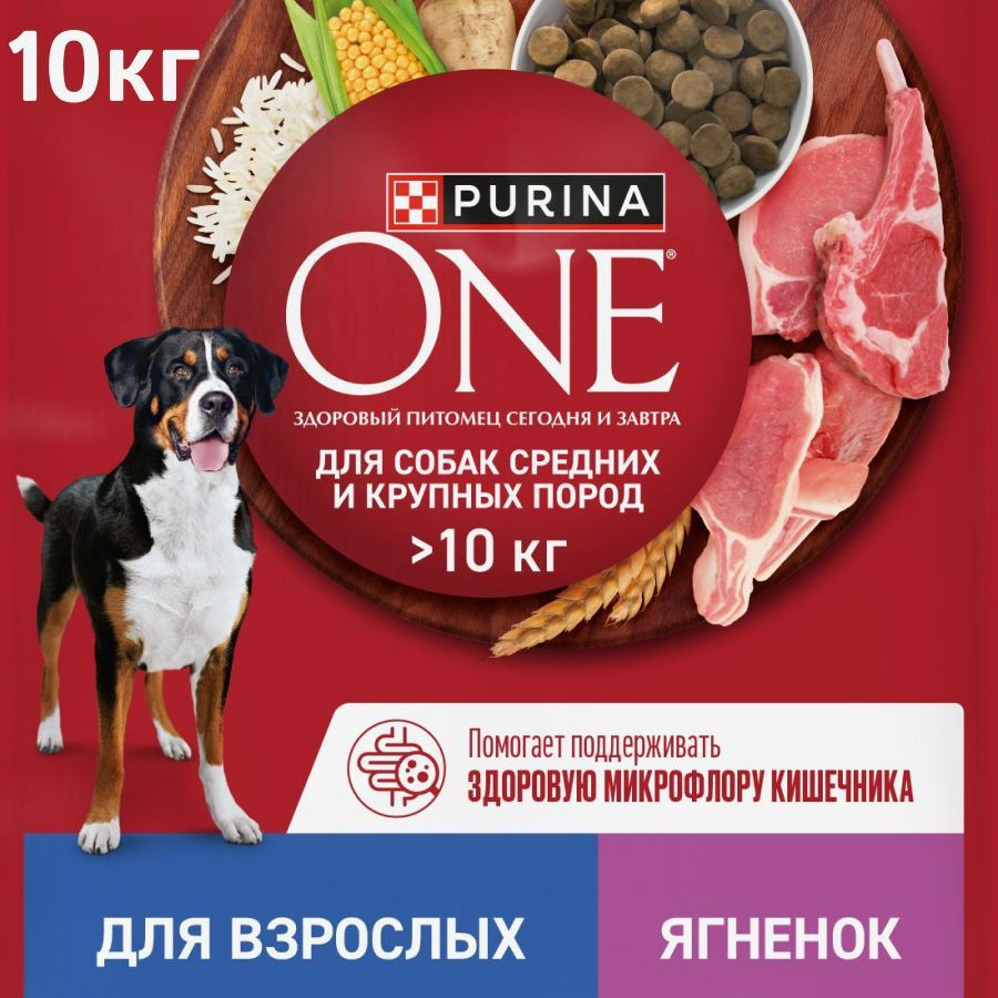 Сухой корм для собак Purina ONE для взрослых собак средних и крупных пород, с ягненком и рисом, 10 кг #1