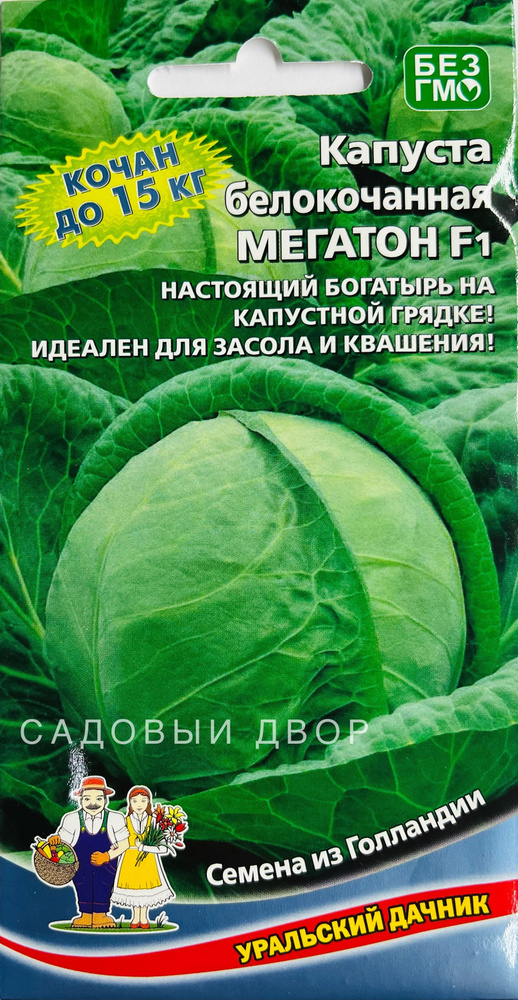 Капуста белокочанная Мегатон F1, 1 пакет, семена 12 шт, Уральский Дачник  #1