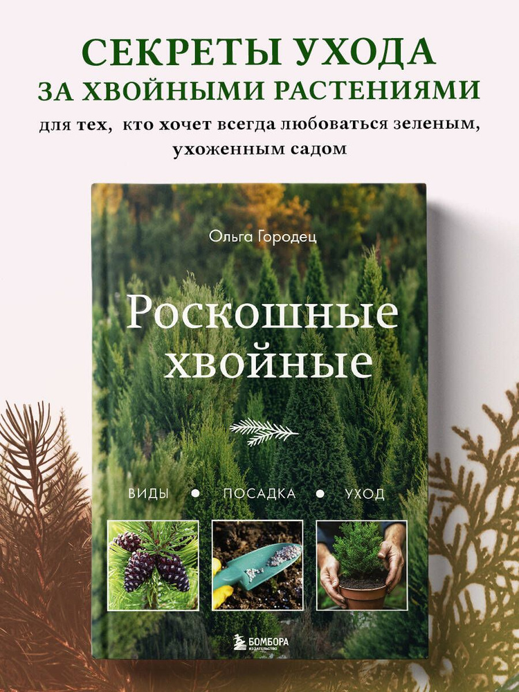 Роскошные хвойные. Виды, посадка, уход | Городец Ольга Владимировна  #1