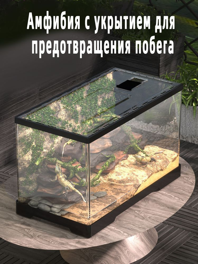 Террариум #1