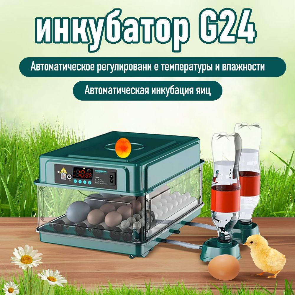 Инкубатор для яиц автоматический 30 яиц автоматический G24 Hairycotar ...