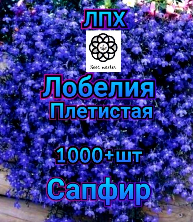 Семена ,1000шт #1