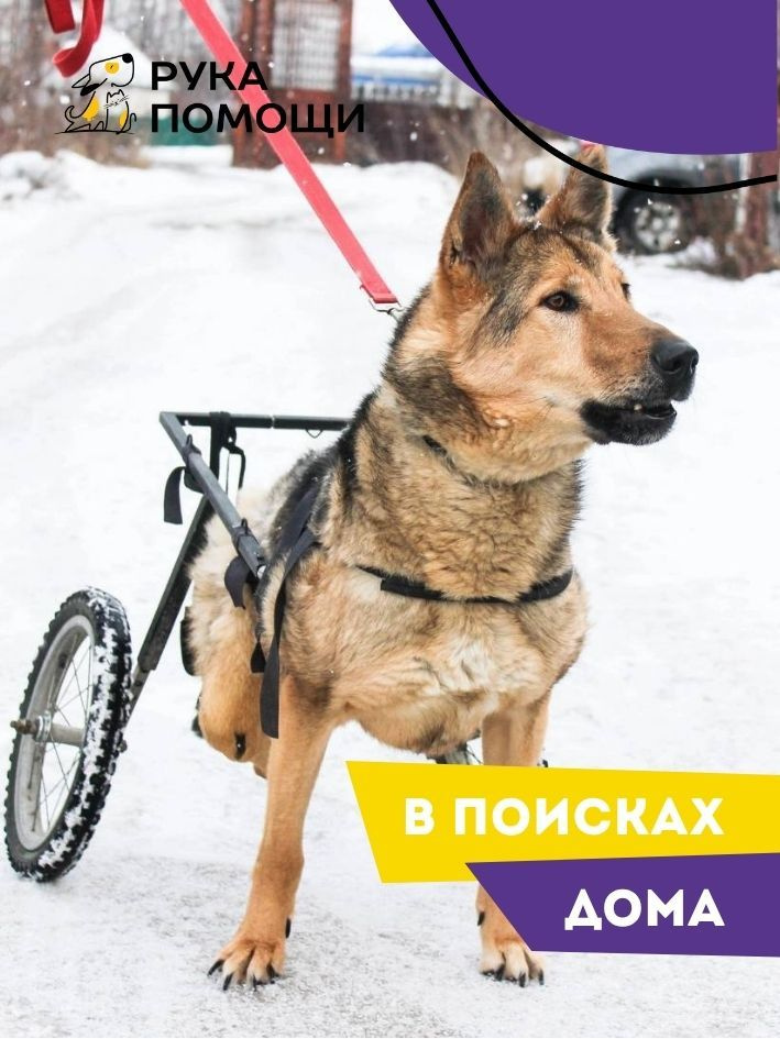 ozon