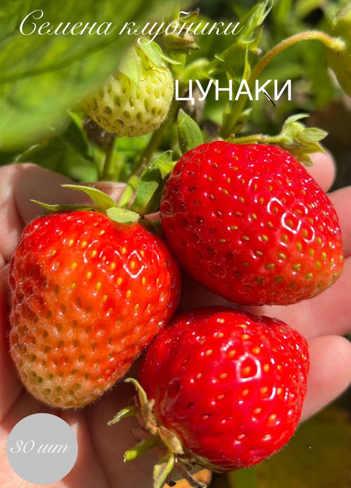 Семена #1