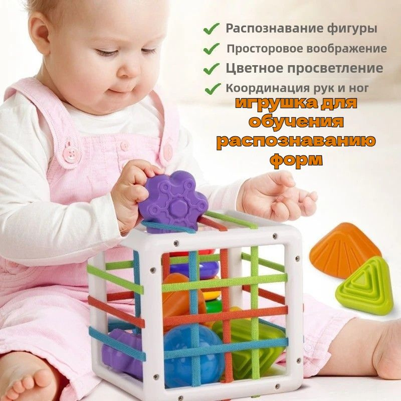 Сортер #1