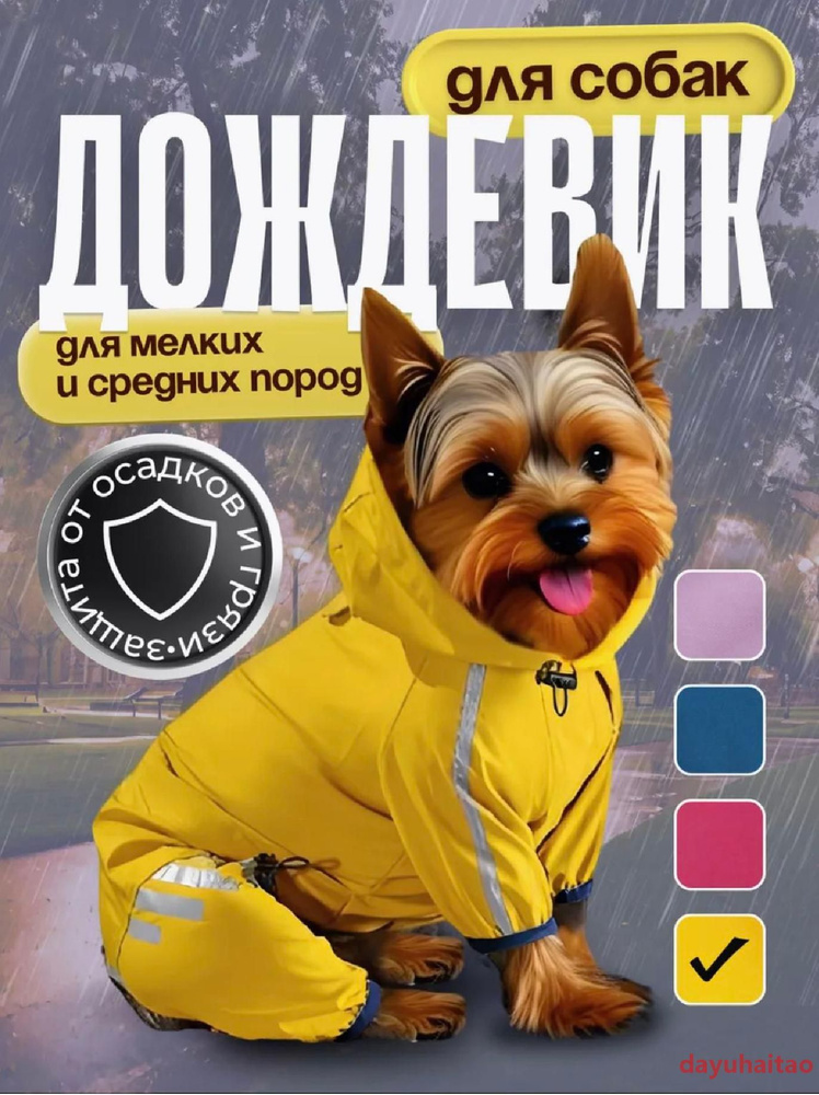 Одежда для животных #1