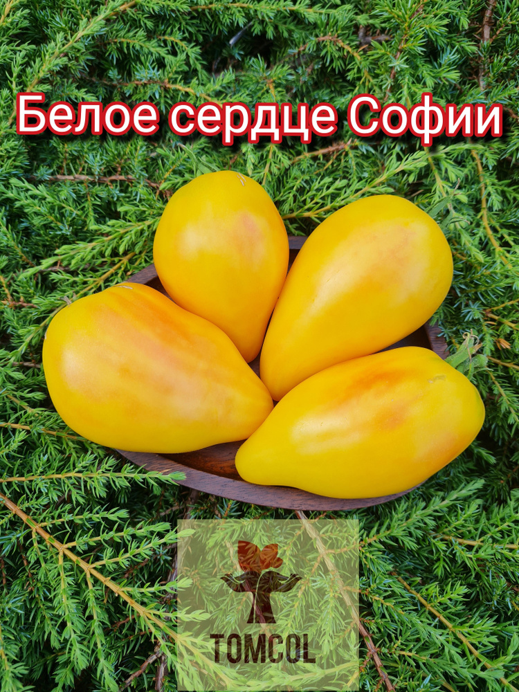 Семена #1