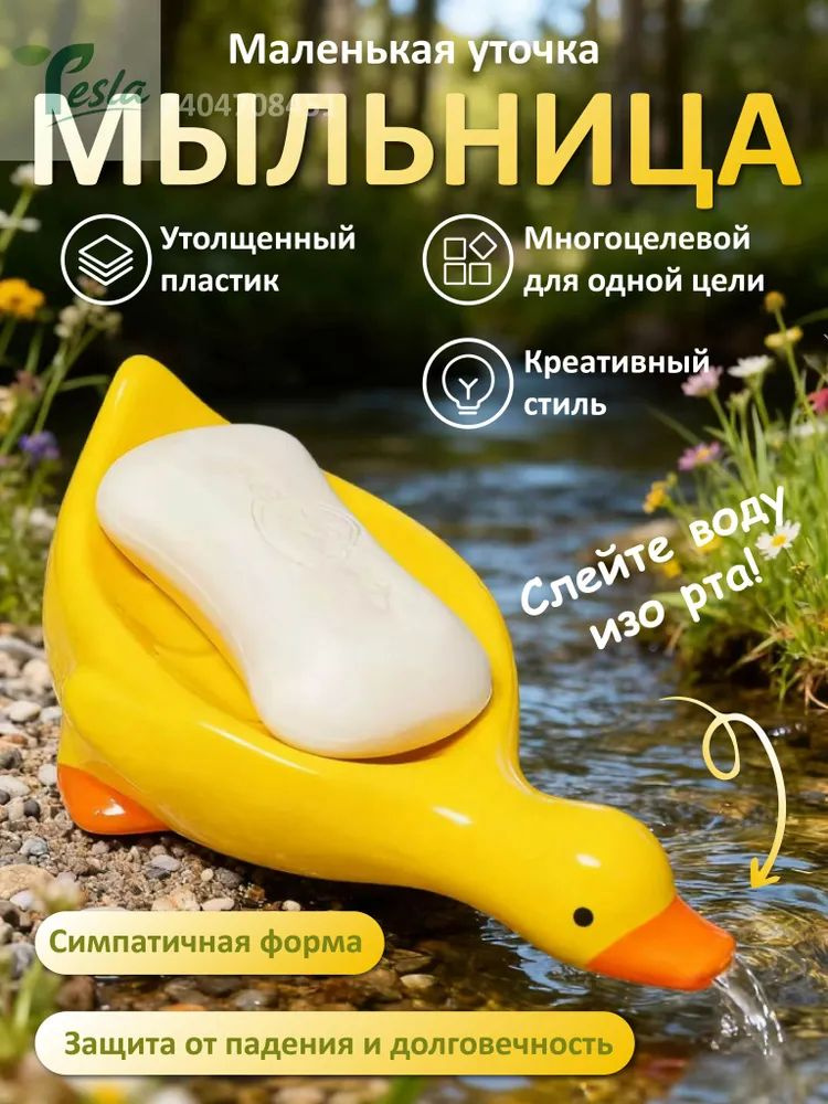 Мыльница #1
