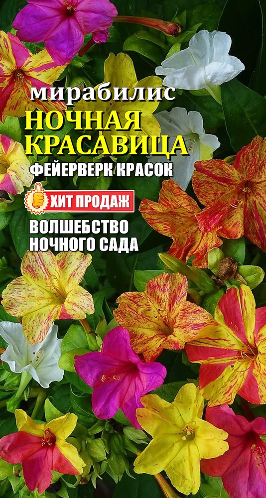 Семена #1