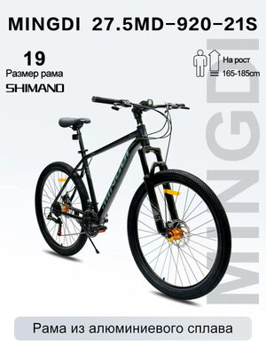 Біз тез жыныстық қатынасқа түстік