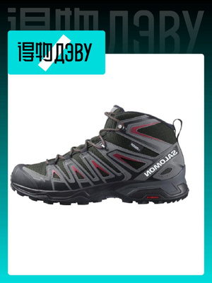 Ботинки мужские Salomon X Ultra Winter Cs Wp купить на OZON по