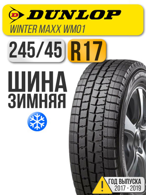 DUNLOP WINTER MAXX WM01 купить на OZON по низкой цене