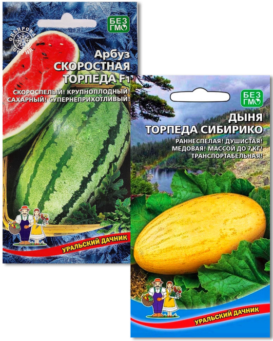 Арбуз скоростная торпеда отзывы. Арбуз скоростная торпеда уральский дачник. Арбуз скоростная торпеда. Арбуз скоростная торпеда f1. Арбуз скоростная торпеда отзывы.