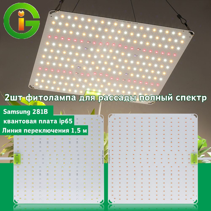 7064901761 7064901761