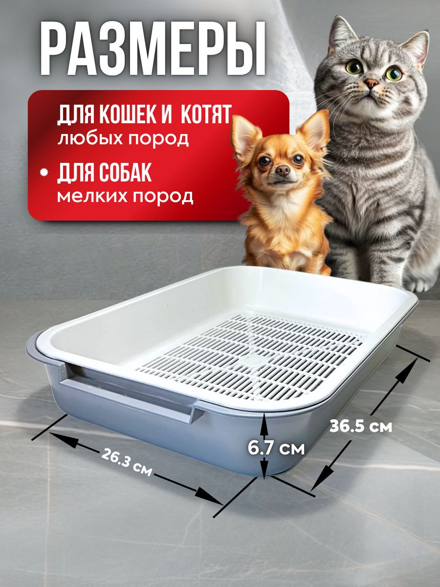 36-26-6-7-botanikfox-ozon