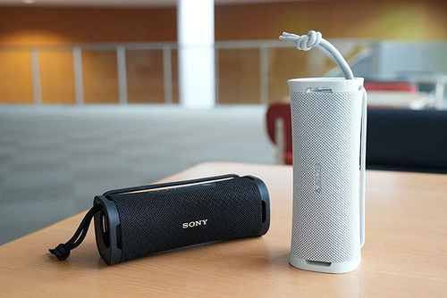 Беспроводная колонка SONY ULT FIELD 1 купить на OZON по низкой