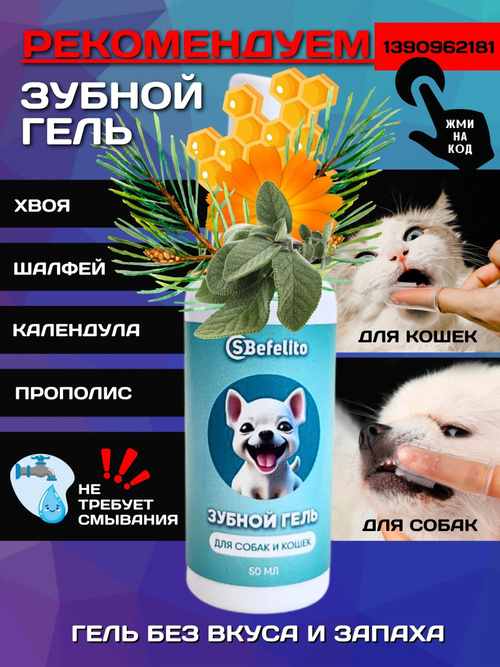 Орыс порно кино Орыс колледж қыздары