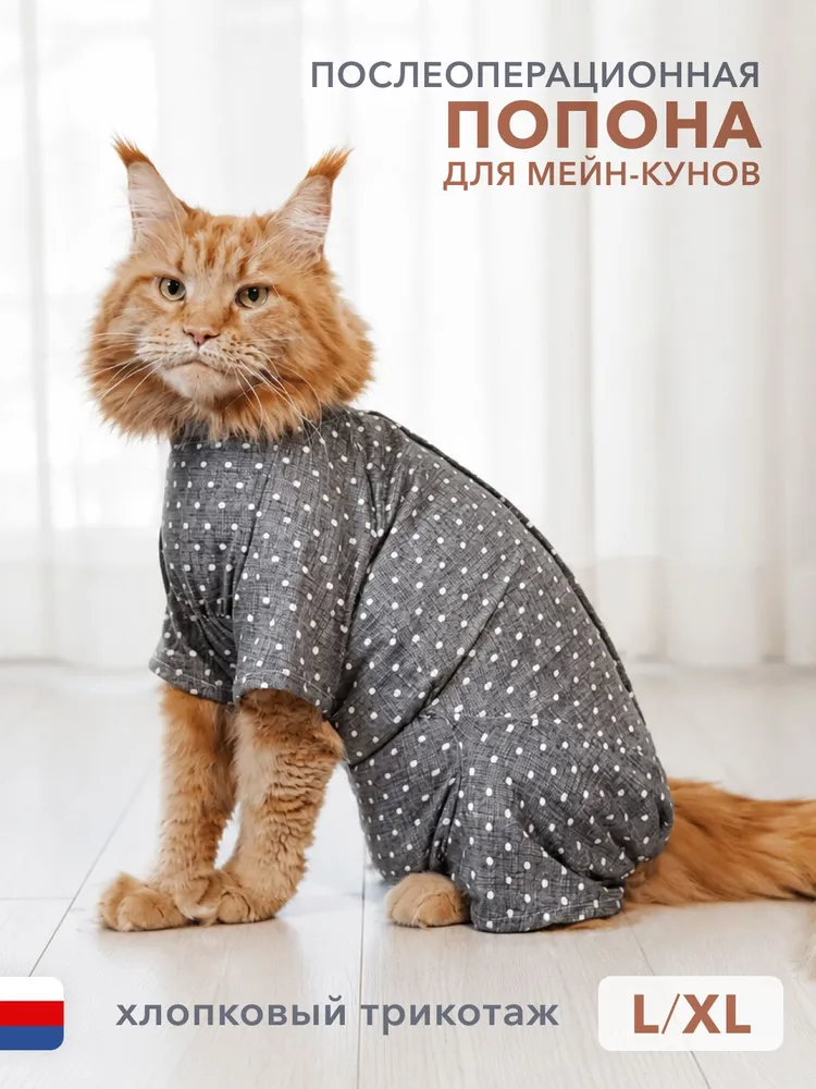 Попона для кошек послеоперационная для кошек мейн-кун "Пуговка", размер L, вариант