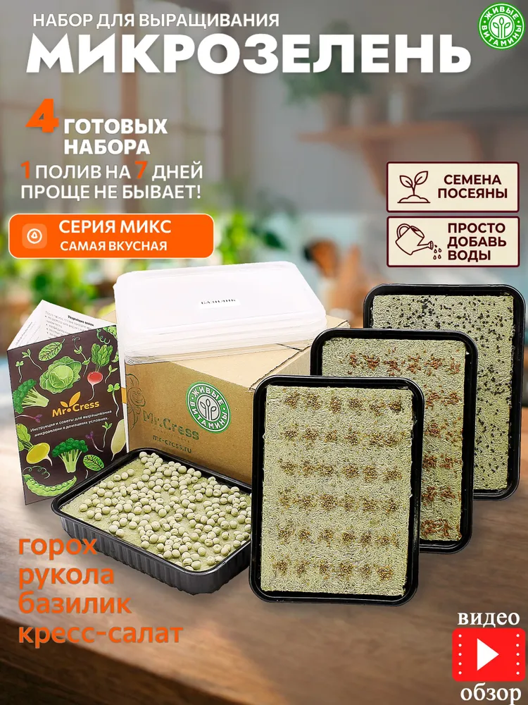 Микрозелень набор для выращивания, вариант