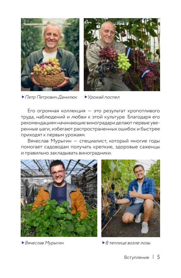 Виноград. Путь лозы. Шпаргалка-трекер: от черенка до грозди | Grapevines. The Path of the Vine. A Handbook-Tracker - Ozon image 4