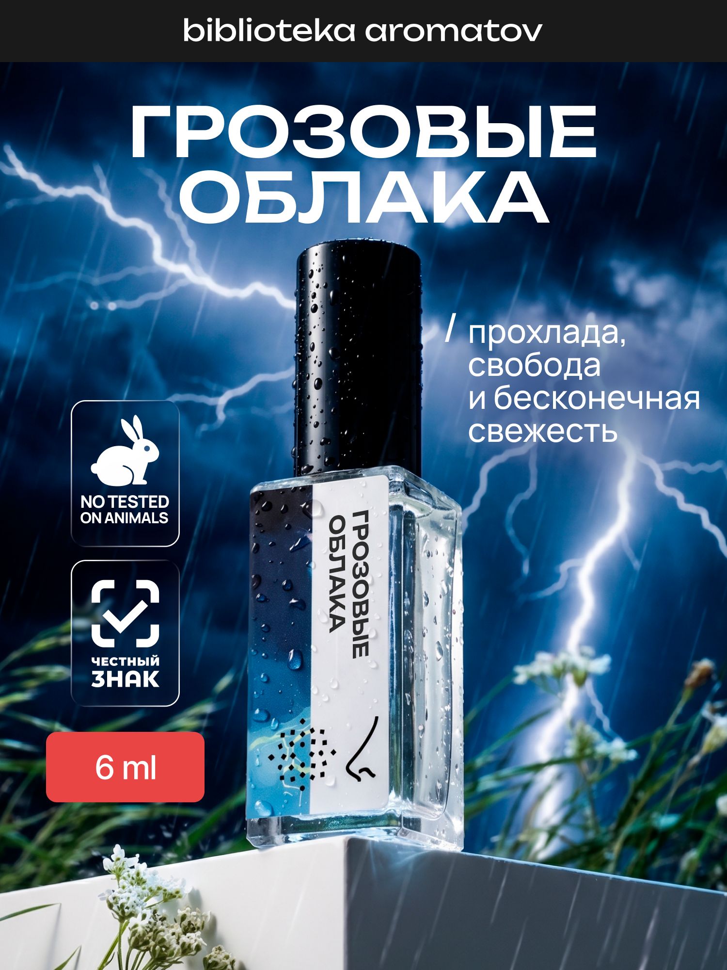 Парфюмерная вода женская и мужская Грозовые облака 6 мл, Библиотека ароматов