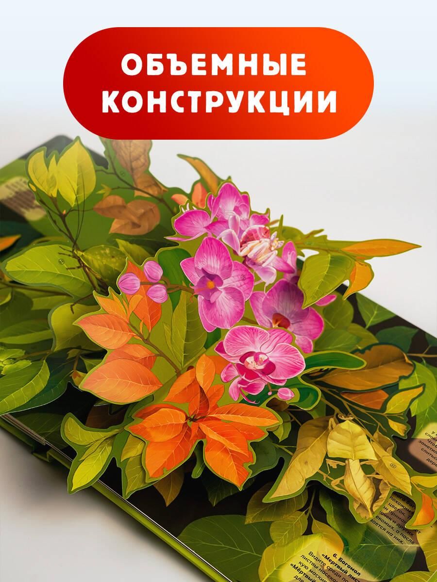 Насекомые. Первая энциклопедия малыша | Reference Book - Ozon image 1
