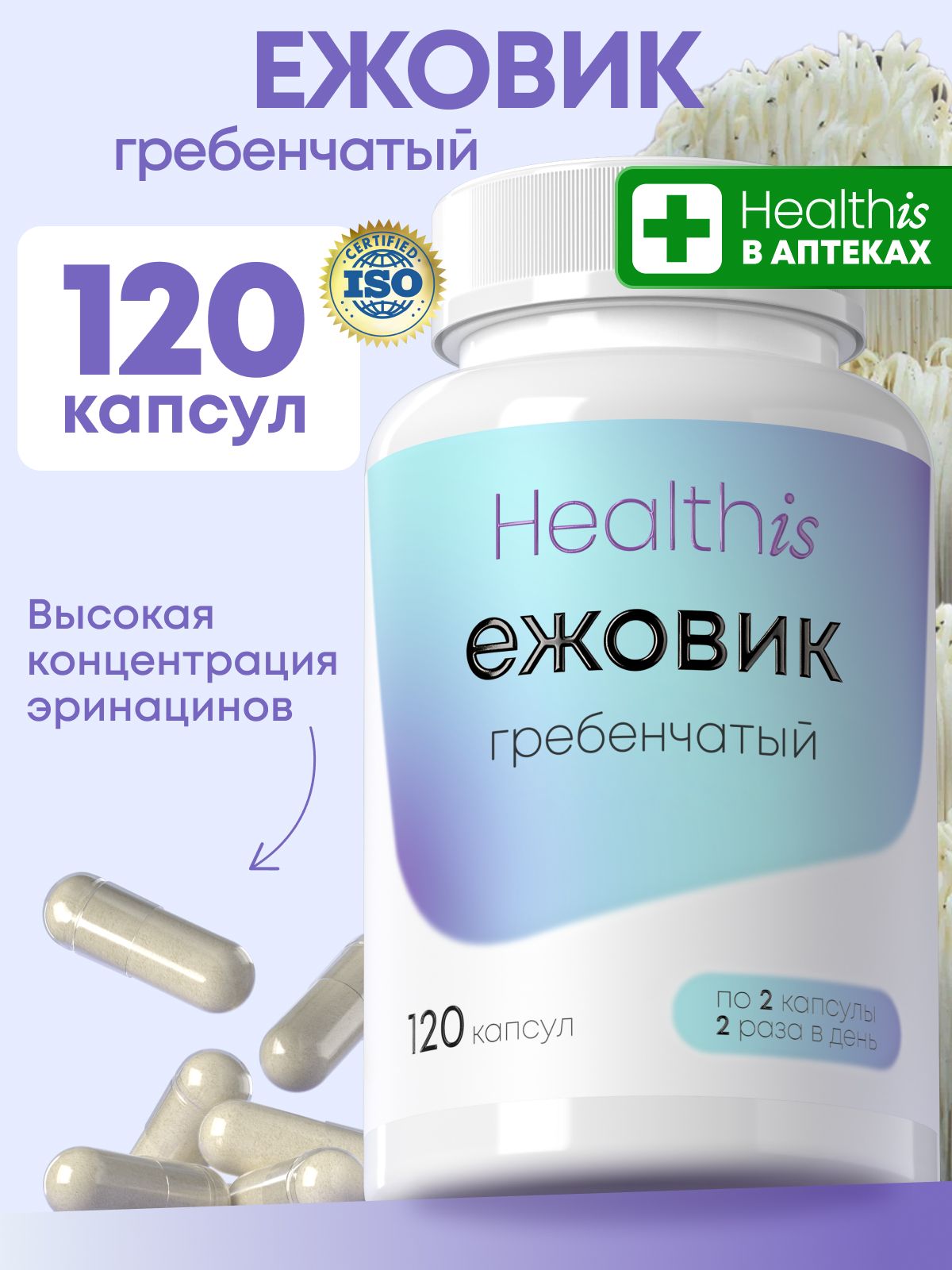 "Ежовик гребенчатый"