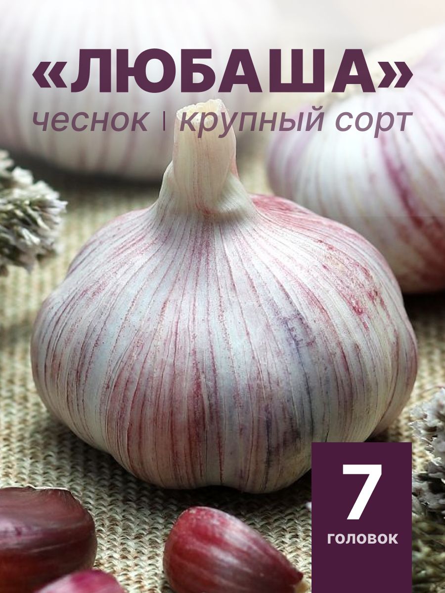 Порно онлайн