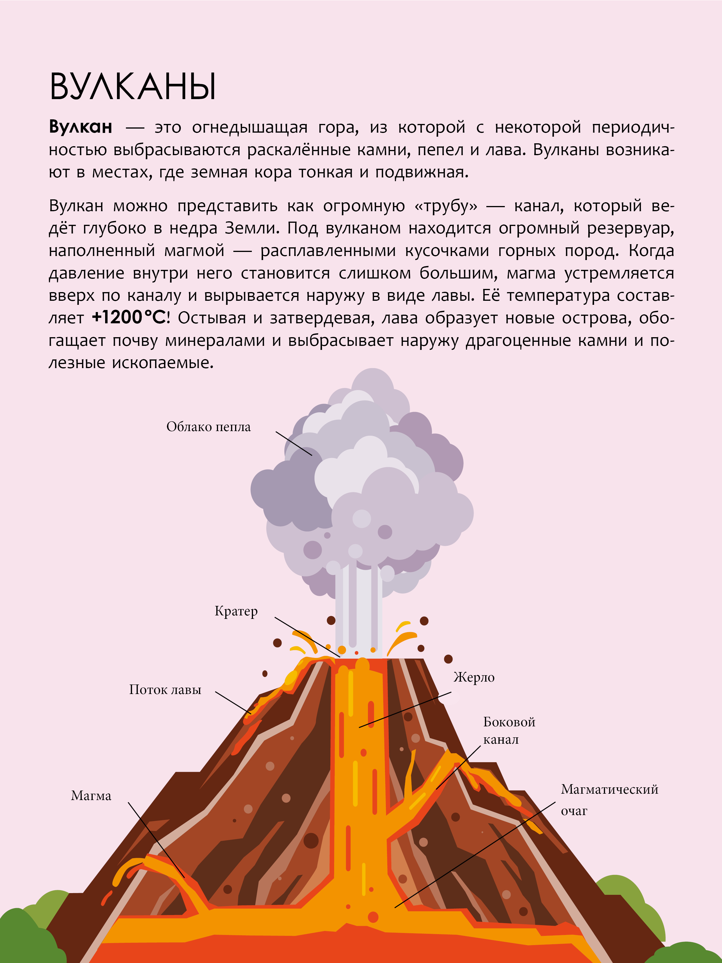 Энциклопедия для школьника 7+. Познавательная, развивающая книга для детей. Подарок ребенку | Reference Book - Ozon image 6