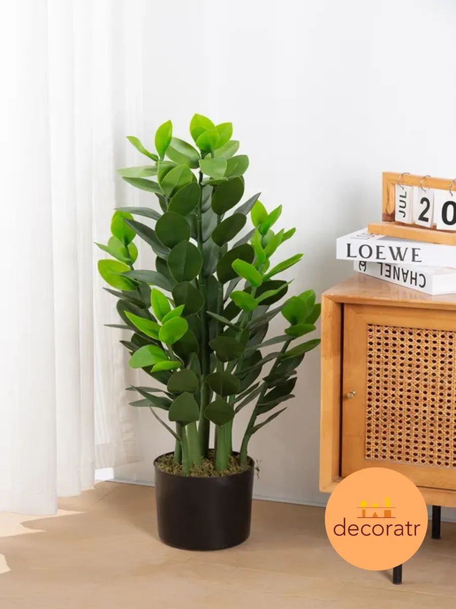Замиакулькас 90cm Зелёный DS2021-090 Китай