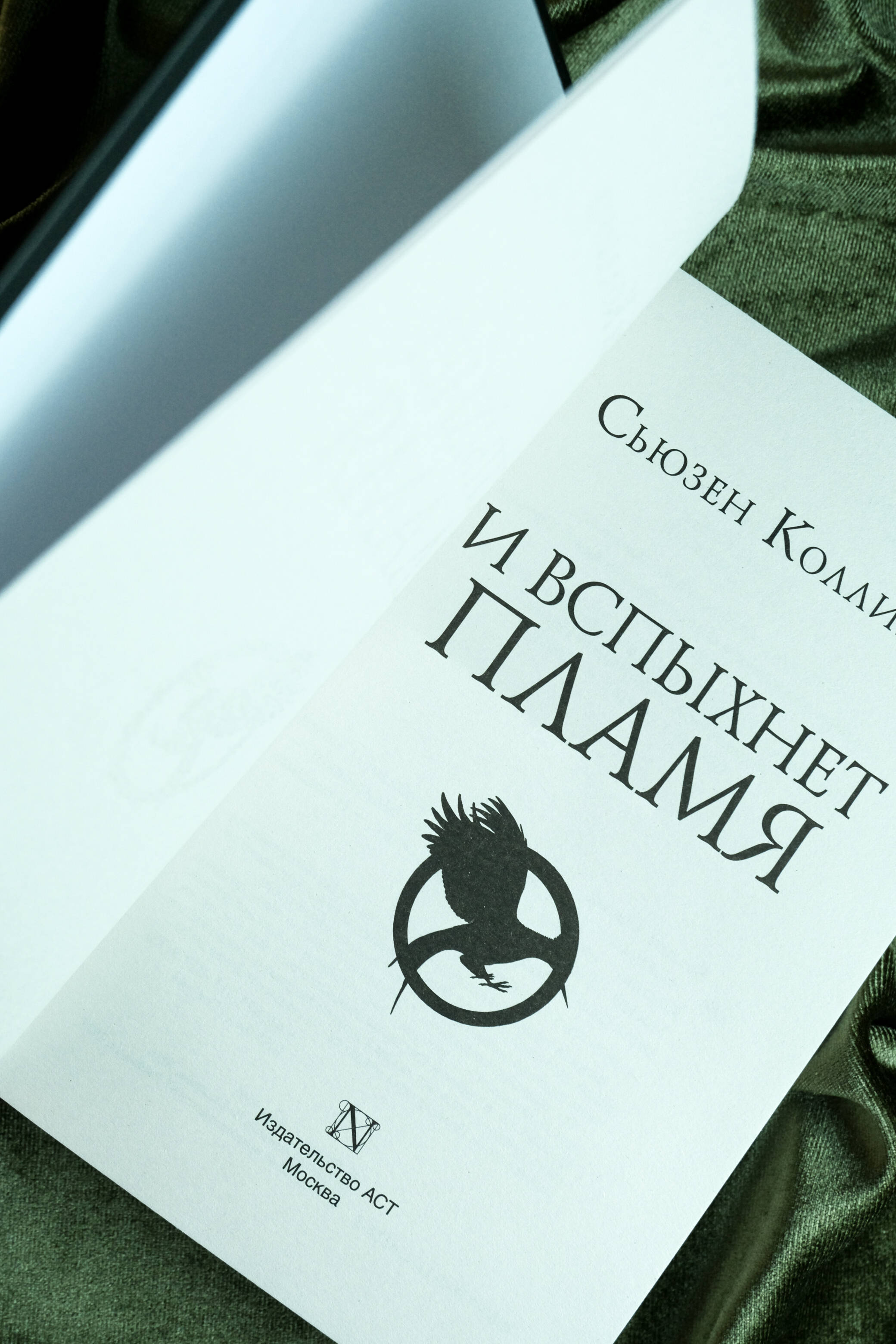 И вспыхнет пламя | The Ballad of Songbirds and Snakes - Ozon image 7
