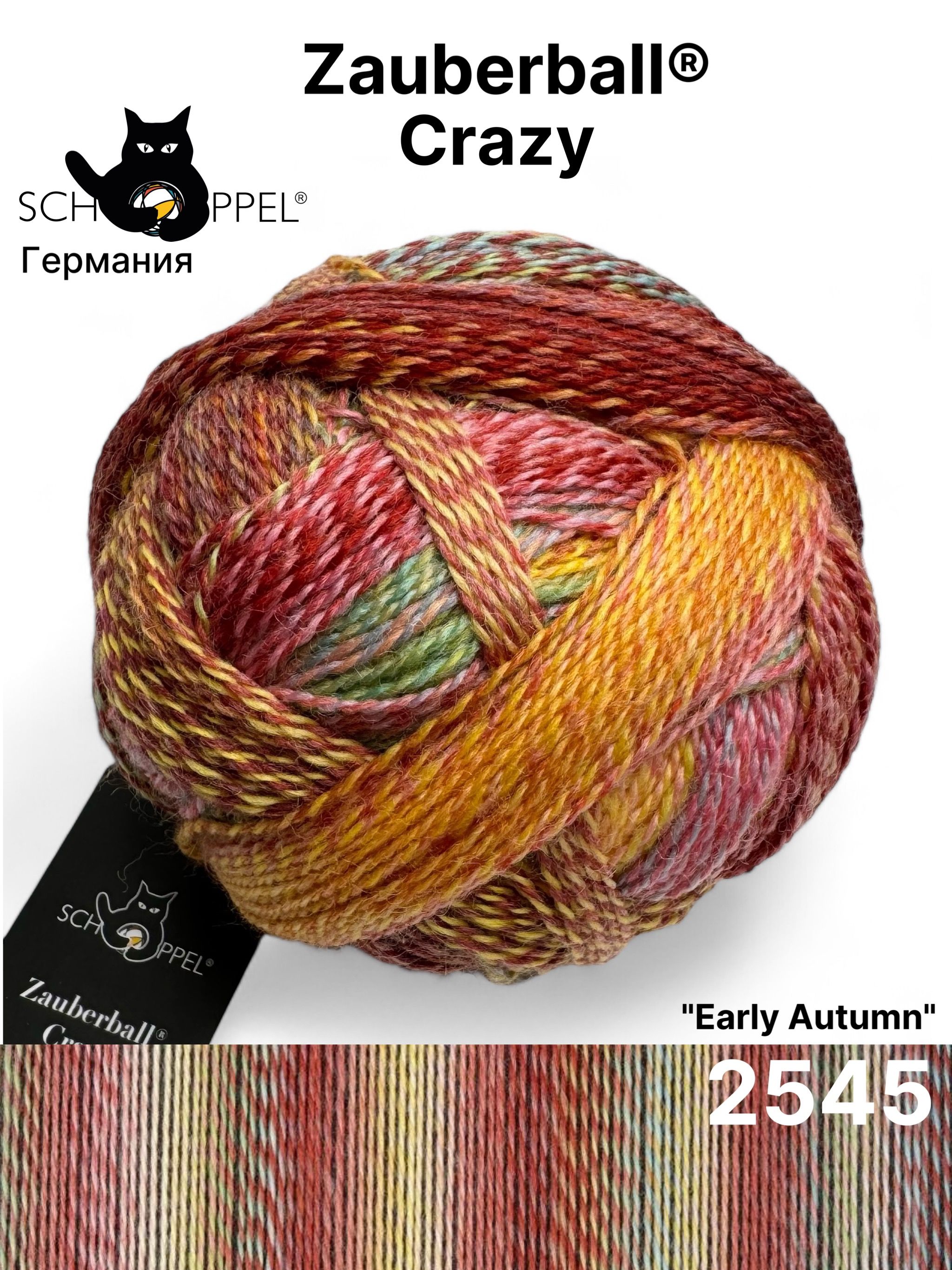 Пряжа Schoppel Zauberball Crazy 2545 Early Autumn 1 моток 100 г