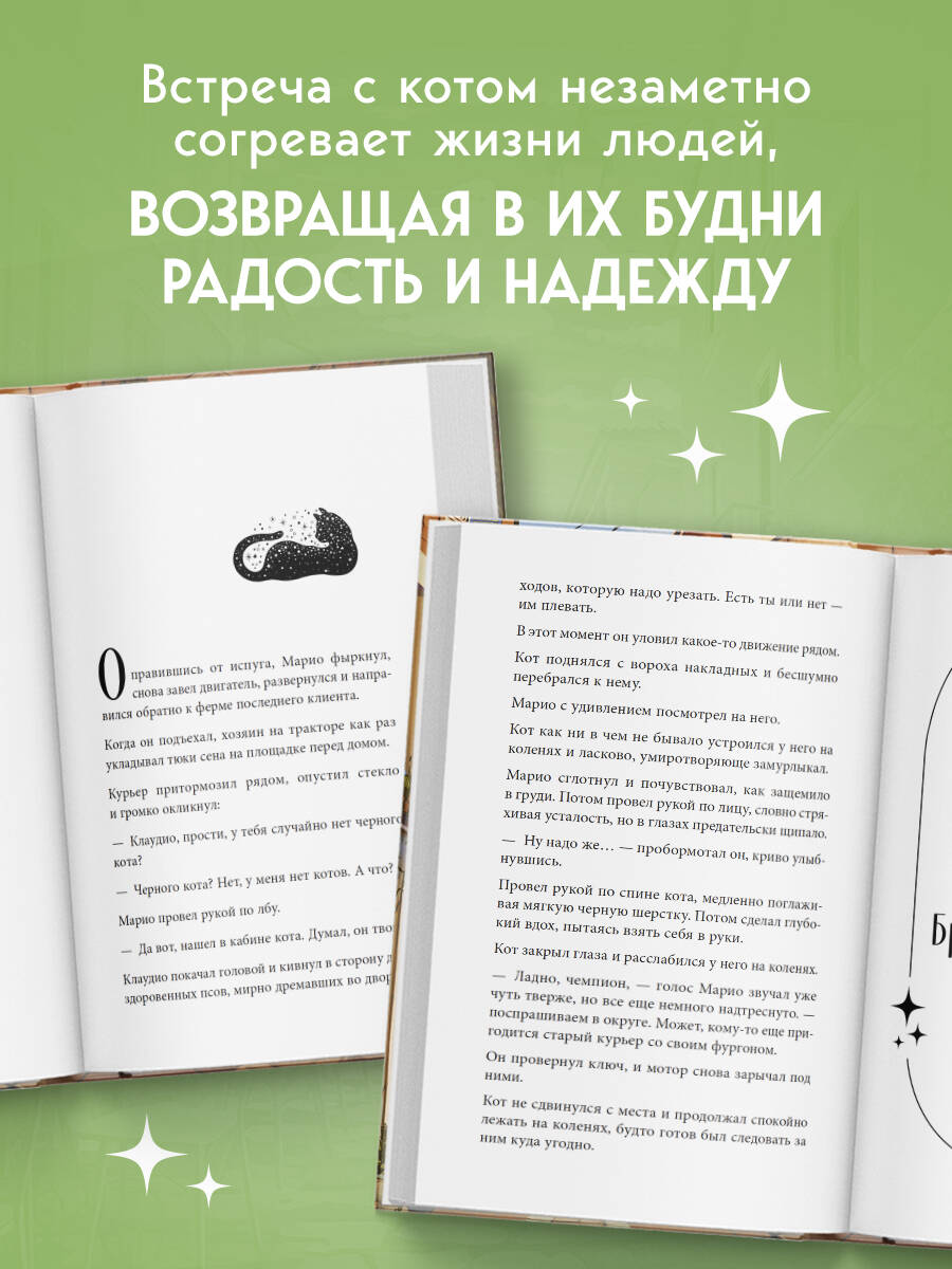 Кот с семью именами. Счастье приходит к тому, кто верит в чудеса | The Cat with Seven Names. Happiness Comes to Those Who Believe in Miracles - Ozon image 3